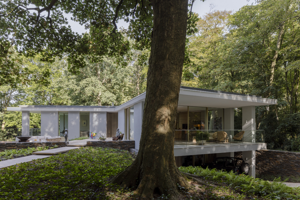 architect_villa_verankerd_in_boslandschap_2