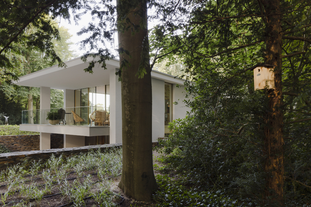 architect_villa_verankerd_in_boslandschap_4